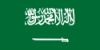 Saudi_Arabia-100x50